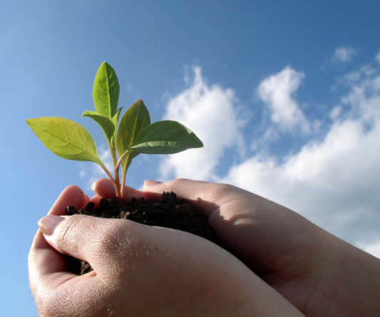 Education and Training